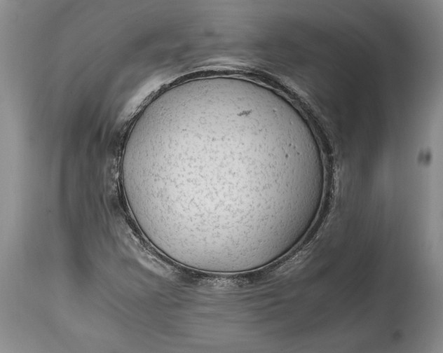 X0000114561355200911091209