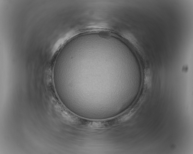 X0000114561357200911091209