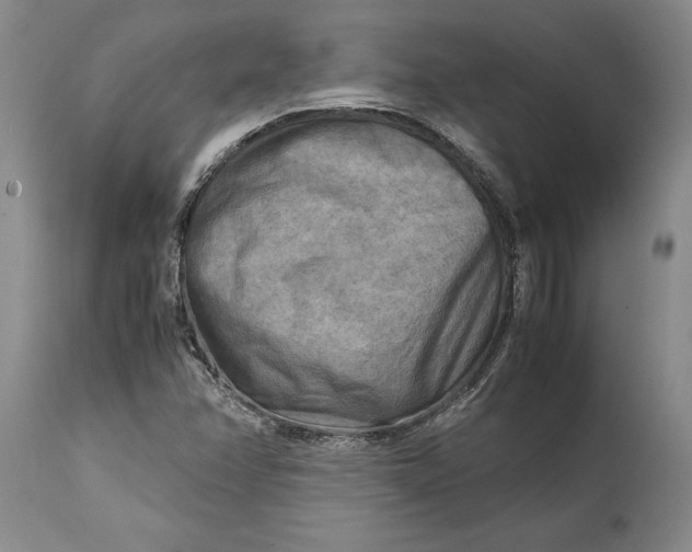 X0000114561358200911091209