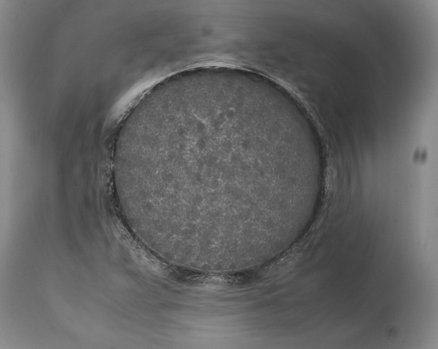 X0000114561359200911091209
