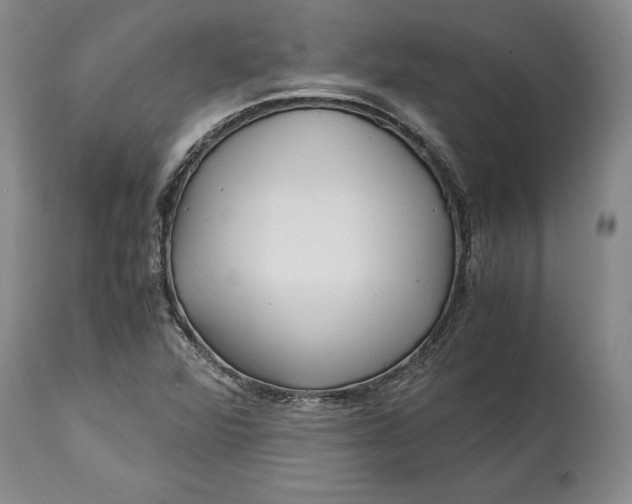 X0000114561360200911091209