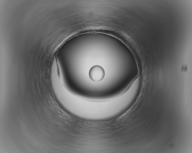X0000114561361200911091209