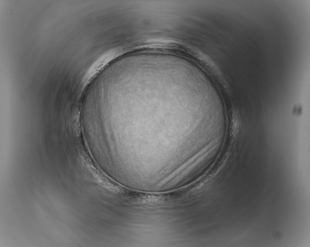 X0000114561362200911091209