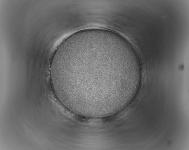 X0000114561363200911091209