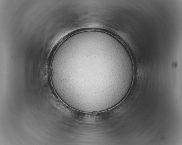 X0000114561364200911091209