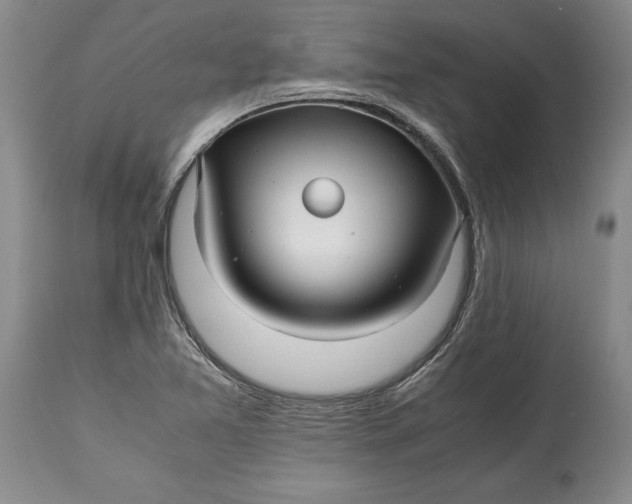 X0000114561365200911091209