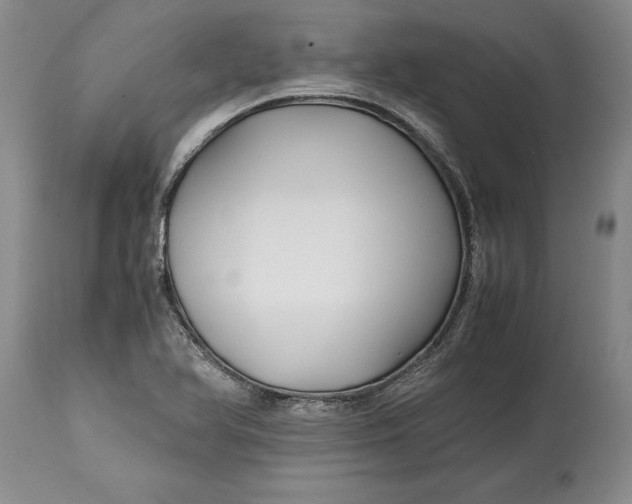 X0000114561366200911091209