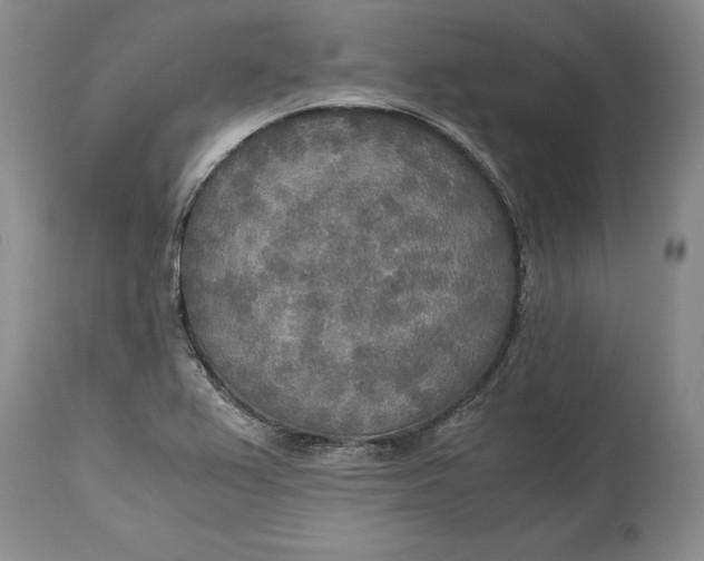 X0000114561367200911091209