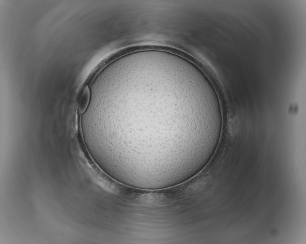X0000114561368200911091209