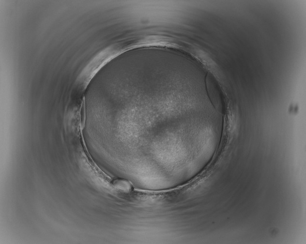 X0000114561369200911091209