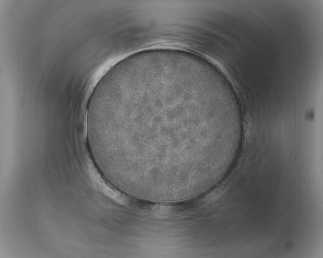 X0000114561371200911091209