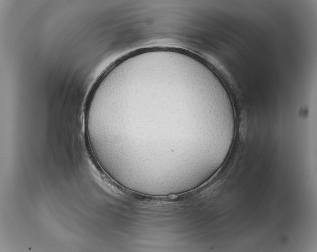 X0000114561372200911091209