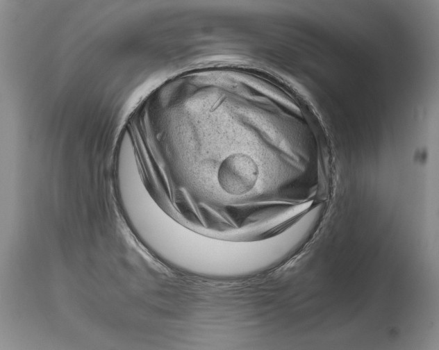 X0000114561373200911091209