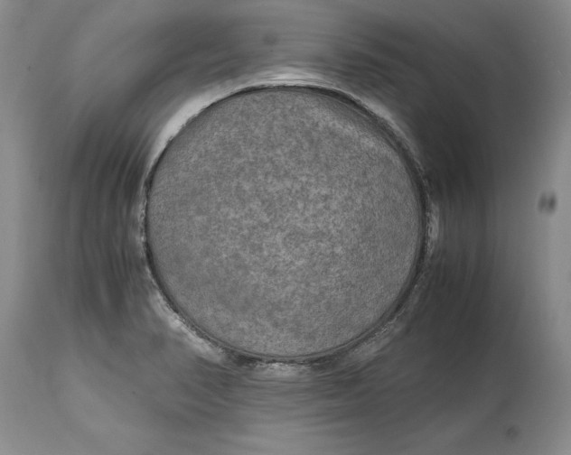 X0000114561374200911091209