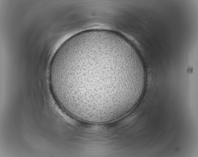 X0000114561375200911091209