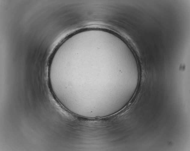 X0000114561376200911091209