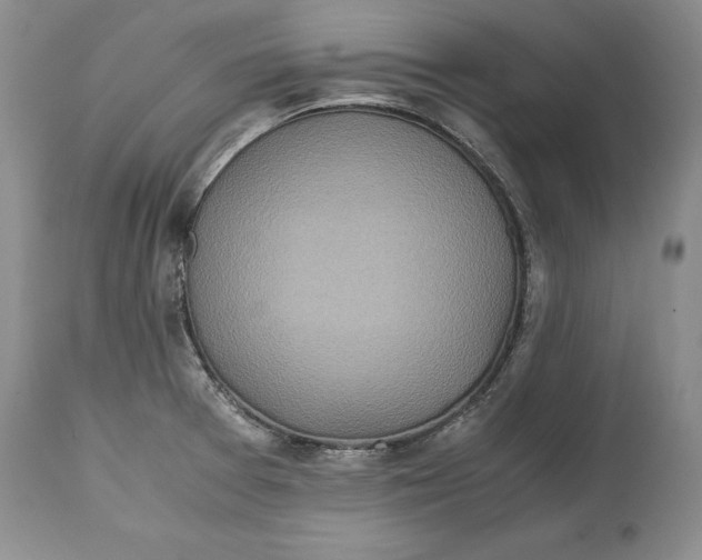 X0000114561377200911091208