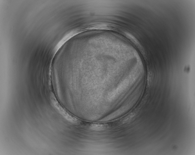 X0000114561378200911091208