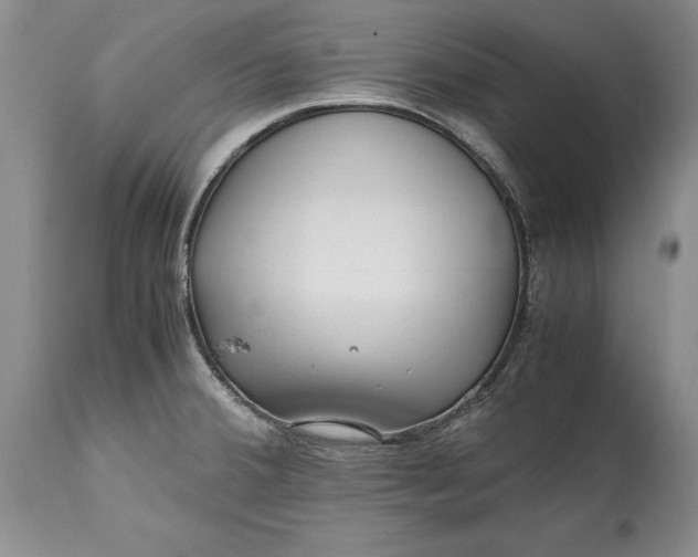 X0000114561380200911091208