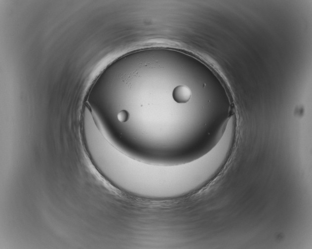 X0000114561381200911091208