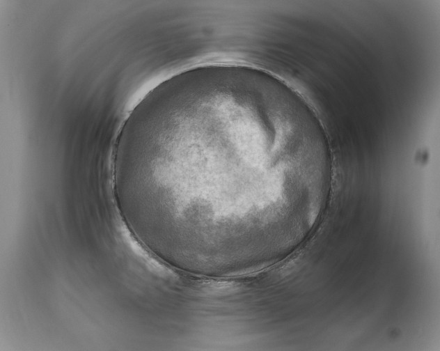 X0000114561382200911091208