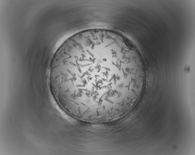 X0000114561383200911091208