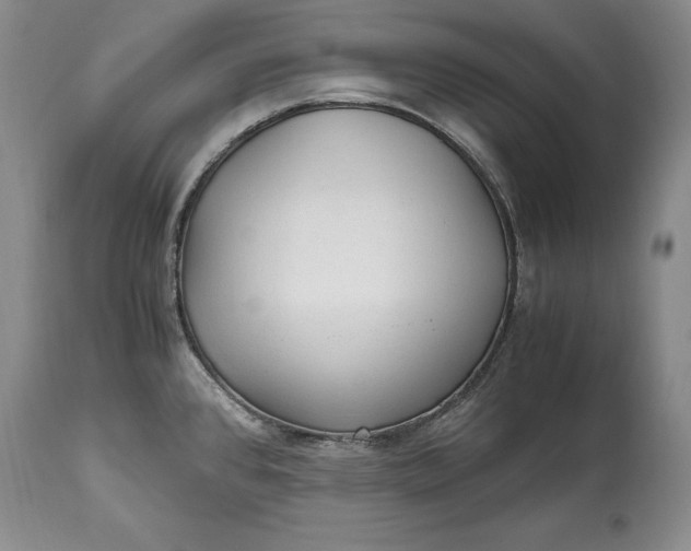 X0000114561384200911091208