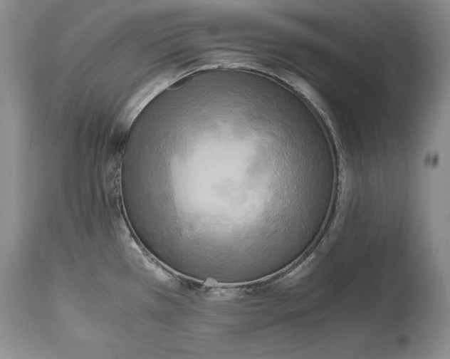 X0000114561385200911091208