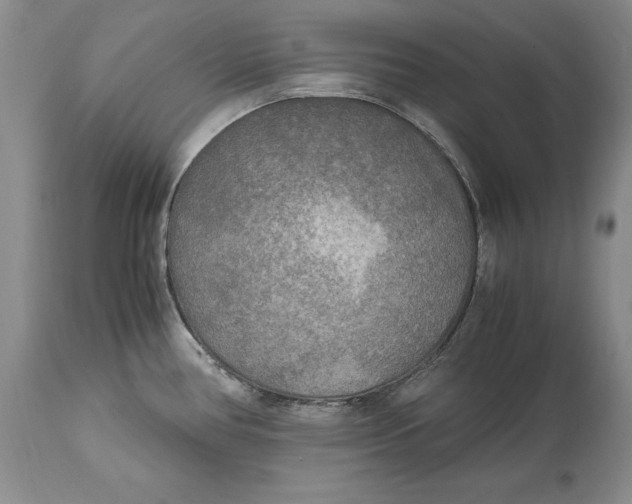 X0000114561386200911091208