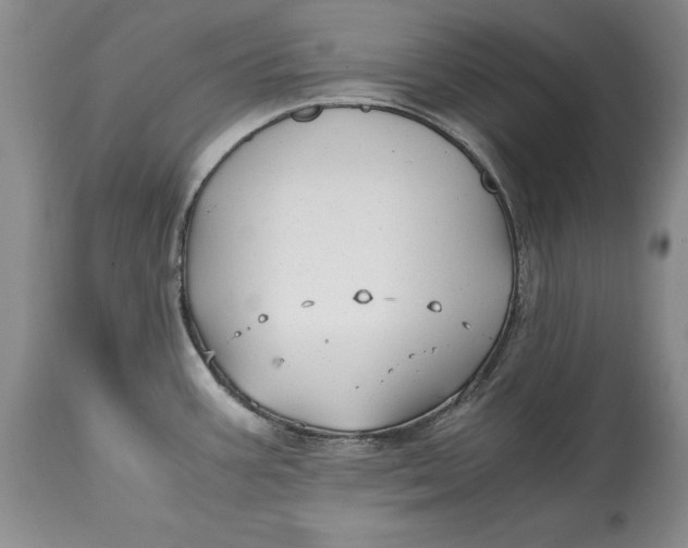 X0000114561387200911091208