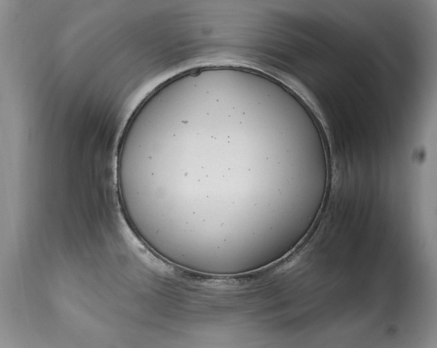 X0000114561388200911091208