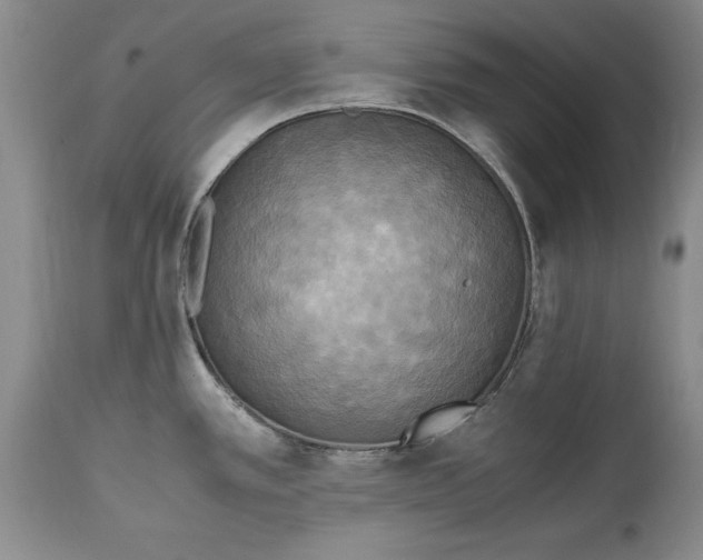 X0000114561389200911091208