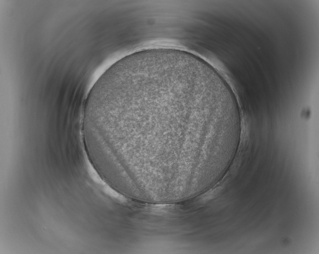 X0000114561390200911091208