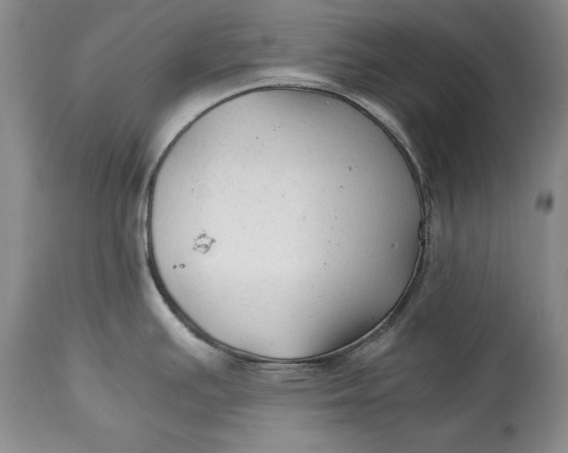 X0000114561391200911091208