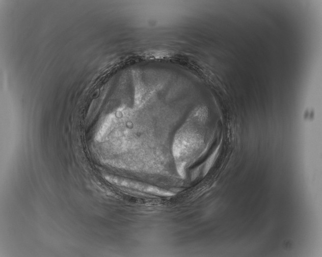 X0000114561393200911091208