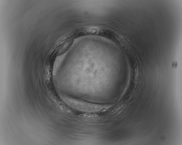 X0000114561394200911091208