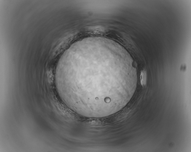 X0000114561395200911091208