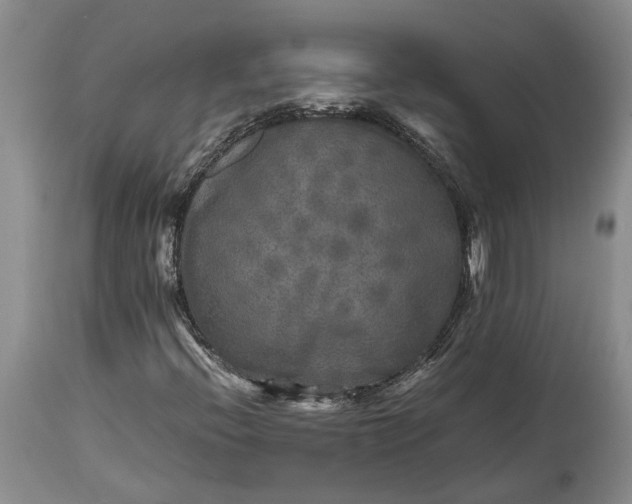 X0000114561396200911091208