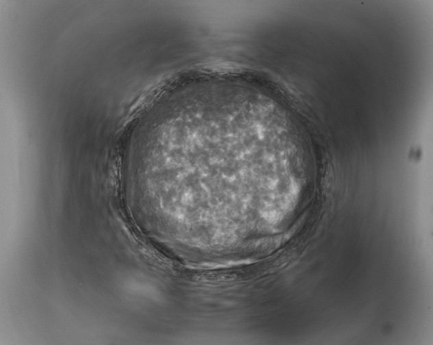X0000114561397200911091208