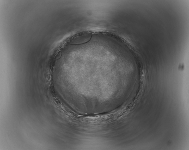X0000114561398200911091208