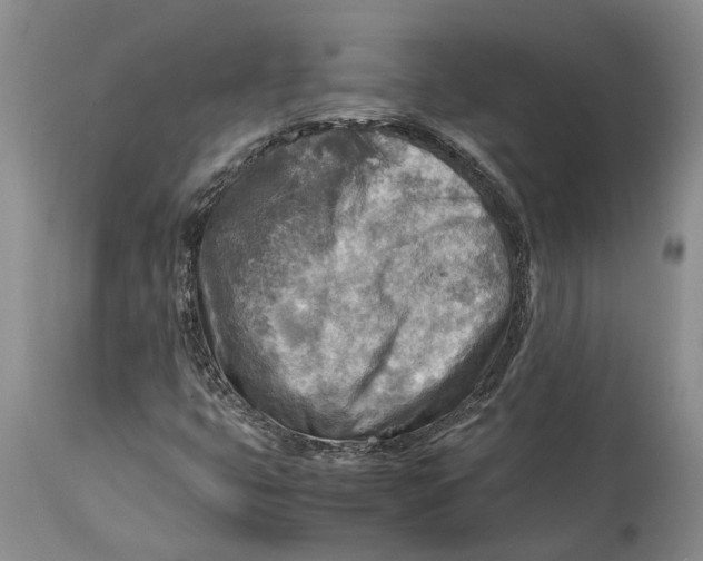 X0000114561399200911091208