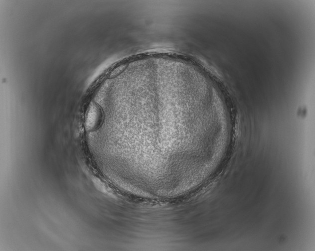 X0000114561400200911091208