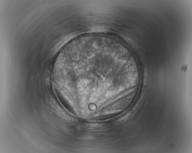 X0000114561401200911091208