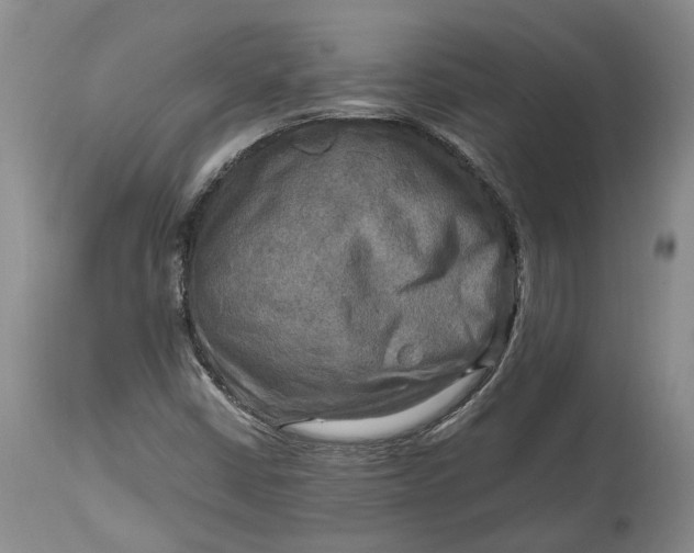 X0000114561402200911091208