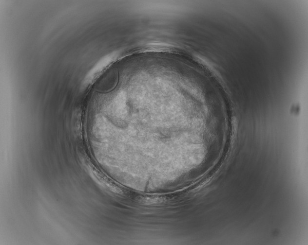 X0000114561403200911091208