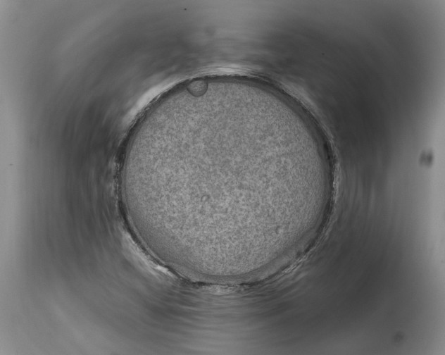 X0000114561404200911091208