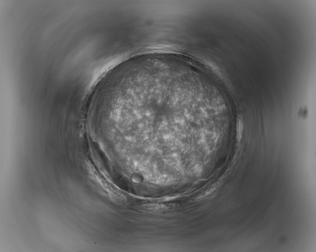 X0000114561405200911091208