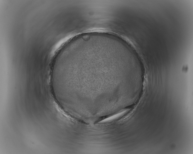 X0000114561406200911091208