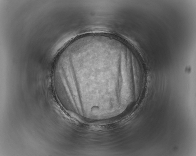 X0000114561407200911091208