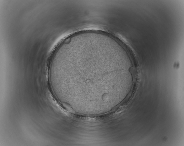 X0000114561408200911091208